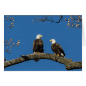 快適のまわりにな (正面横)