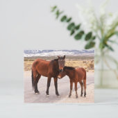 快適を求めて ポストカード (スタンド正面)