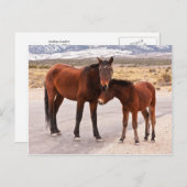 快適を求めて ポストカード (正面/裏面)