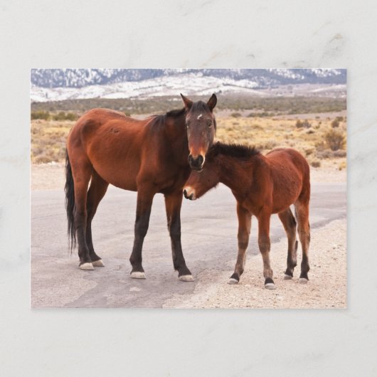 快適を求めて ポストカード (正面)