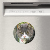 怒おもしろいCATことわざ「NOT TODAY!」 マグネット (インサイチュ (食洗機))