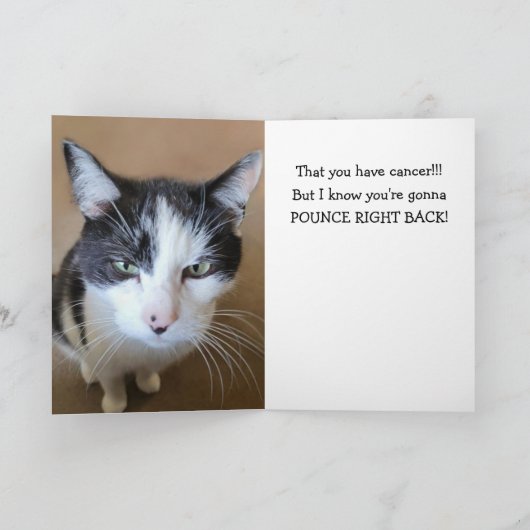 怒がん猫 カード (内部)