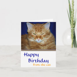 怒ったタビー猫の誕生日カード - ユーモア カード