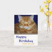 怒ったタビー猫の誕生日カード - ユーモア カード (黄色い花)