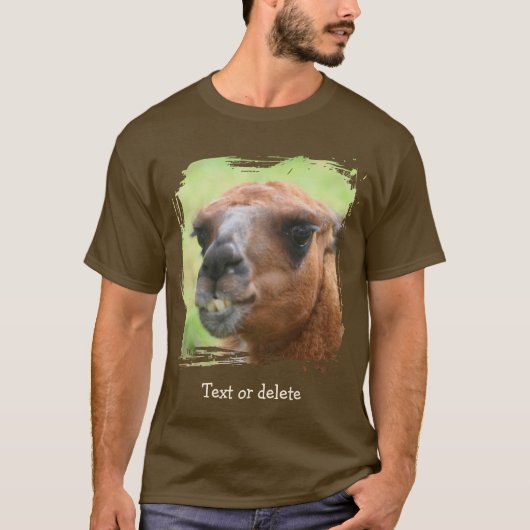 怒ったラマの顔のオリジナルデザイン Tシャツ (正面)