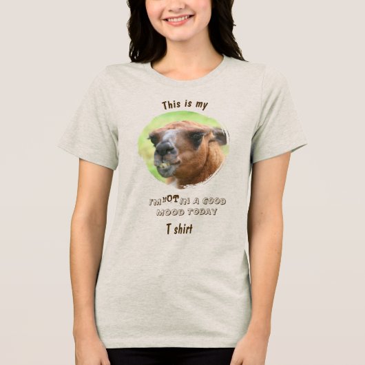 怒ったラマ 不機嫌 コメディ トライブレンドＴシャツ (正面)