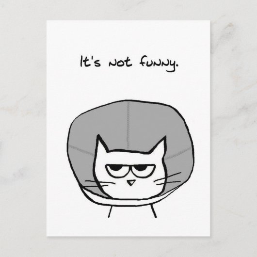 怒った猫と恥の円錐 ポストカード (正面)