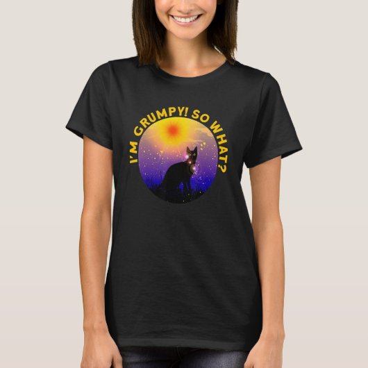 怒った猫の面白画像 私が怒ってるから何だって言うんだ 2 Tシャツ (正面)