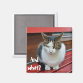 怒った猫 マグネット (正面/裏面)