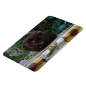 怒った黒猫 マグネット (左側)