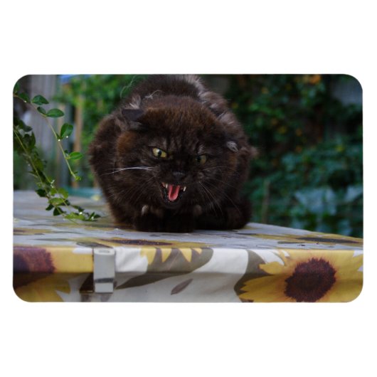 怒った黒猫 マグネット (横)