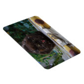 怒った黒猫 マグネット (右側)