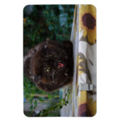 怒った黒猫 マグネット (縦)