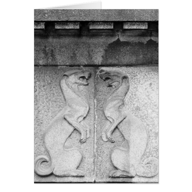 怒っているデンマークのイタチ (正面)