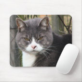 怒っている猫のmousepads マウスパッド (マウス)