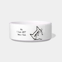 怒っている猫は食べ物を与えられませんでした!