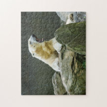 怒っている白くま