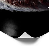 怒はのまわりに見つけ出す ポスター (コーナー)