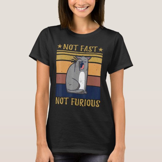 怒らない速い猫 Tシャツ (正面)
