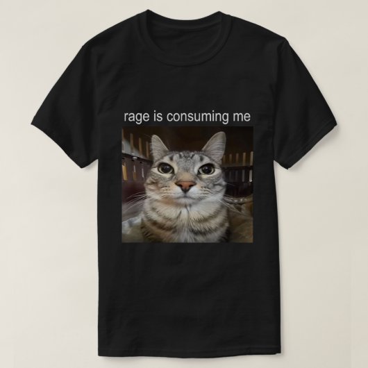 怒りが私を蝕んでいる 猫ミームTシャツ Tシャツ (デザイン正面)