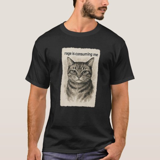 怒りが私を蝕んでいる 笑 Funny Silly Staring Cat Meme Tシャツ (正面)