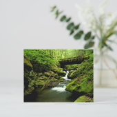 怒りのフォークに橋を渡す ポストカード (スタンド正面)