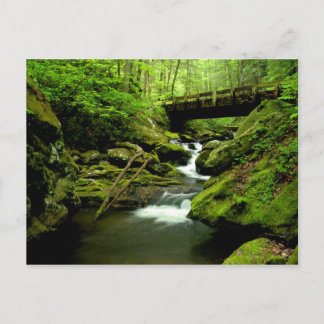 怒りのフォークに橋を渡す ポストカード