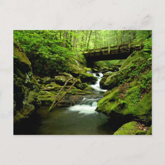 怒りのフォークに橋を渡す ポストカード (正面)