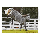 怒り狂う (正面横)