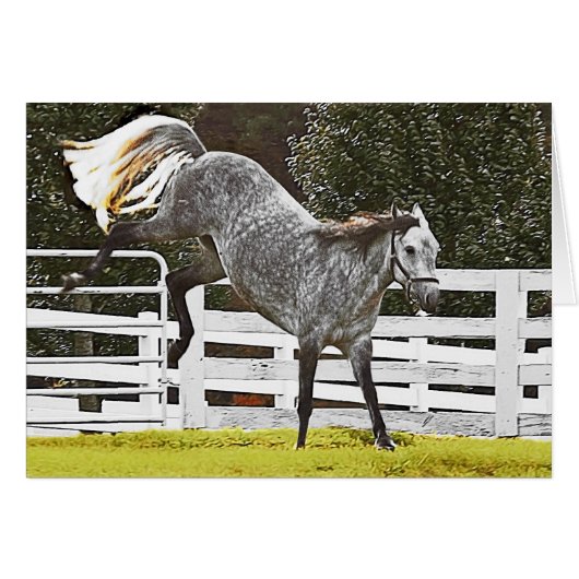 怒り狂う (正面横)