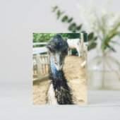 怒れるエミュー ポストカード (スタンド正面)