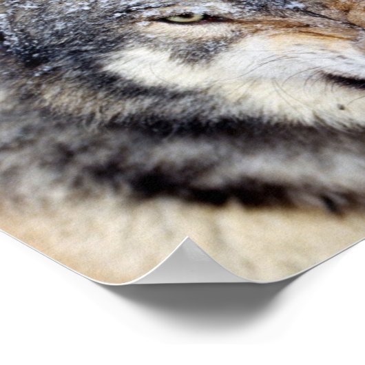 怒人 ポスター (角)