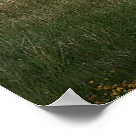 怒母|| ポスター (角)