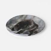 怒狼 ペーパープレート (アングル)