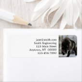 怒狼 ラベル (インサイチュ)