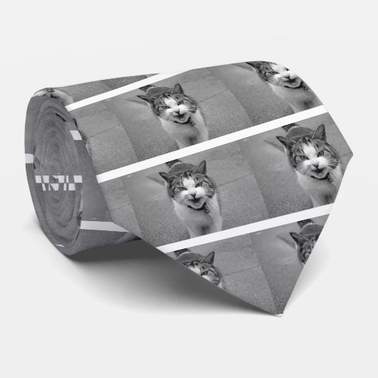 怒猫 ネクタイ (ロール)
