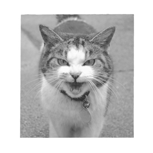 怒猫 ノートパッド (正面)
