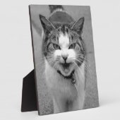 怒猫 フォトプラーク (側面)