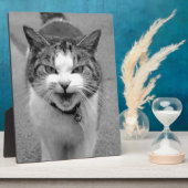 怒猫 フォトプラーク (側面)