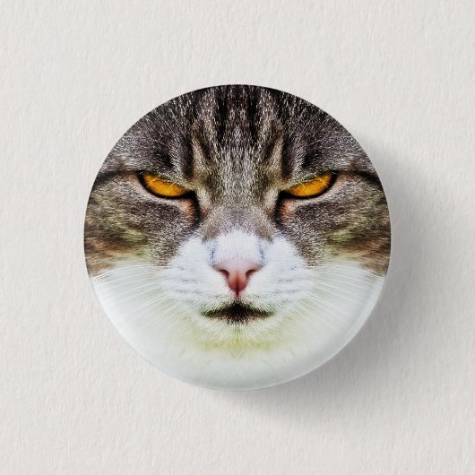 怒猫 缶バッジ (正面)