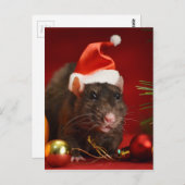 怒矮星。 ポストカード (正面/裏面)