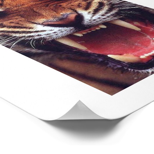 怒虎 ポスター (角)