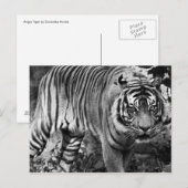 怒虎 ポストカード (正面/裏面)