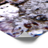 怒鰻 ポスター (角)