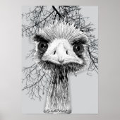 怒鳥 ポスター (正面)