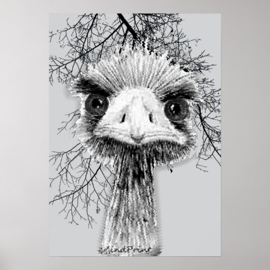 怒鳥 ポスター (正面)