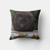 怒黒猫 クッション (裏面)