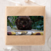 怒黒猫 ラベル (インサイチュ)