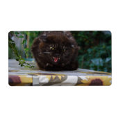 怒黒猫 ラベル (正面)