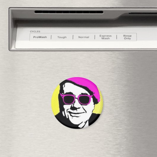 怒 マグネット (インサイチュ (食洗機))